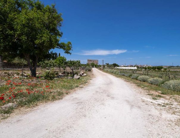 bed-and-breakfast-dimora-storica-cagnazzi-altamura-matera-vacanze-puglia-01