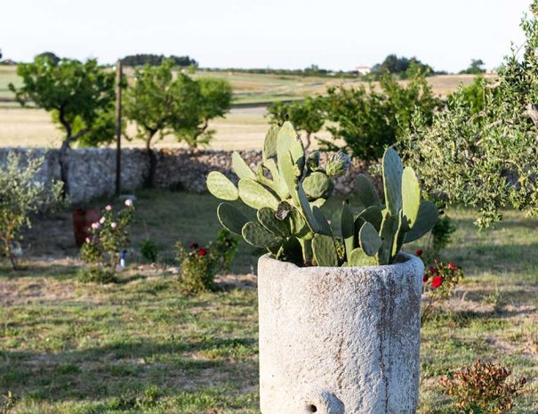 Particolare del giardino della Dimora Storica Cagnazzi ad Altamura, Bari.